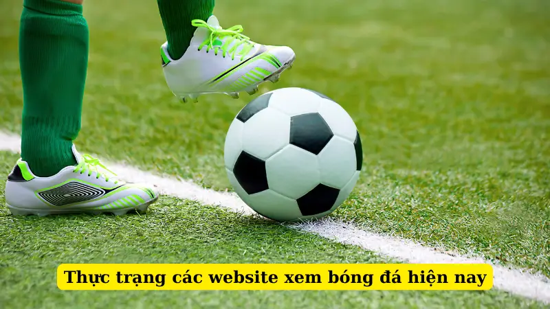 Thực trạng các website xem bóng đá hiện nay