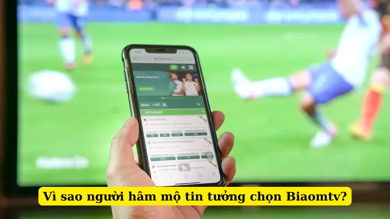 Vì sao người hâm mộ tin tưởng chọn Biaomtv?